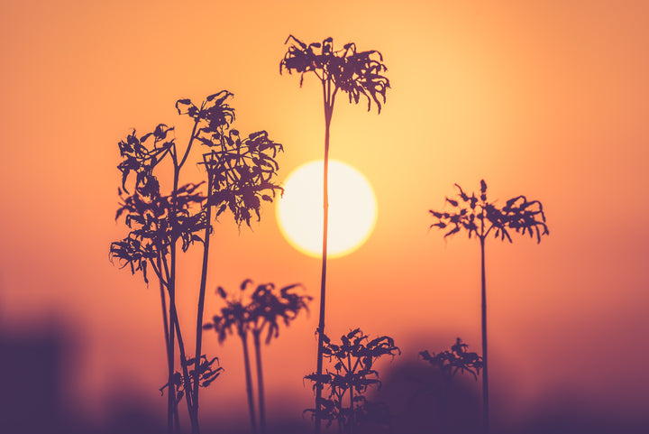 Unveiling UV Damage: The Skin's Battle Against Sun Exposure