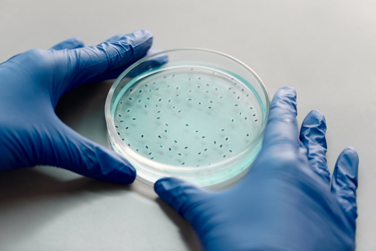 From the Inside Out: The Link Between Gut Health and Skin